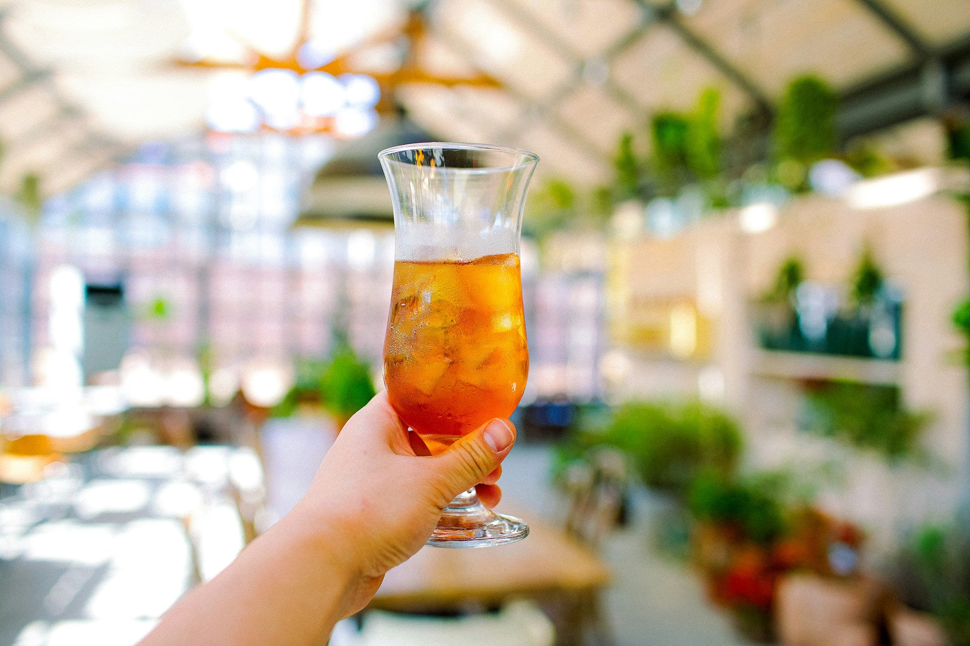 Add Sparkling Green Tea to Winter Drink Menus – RareBrew